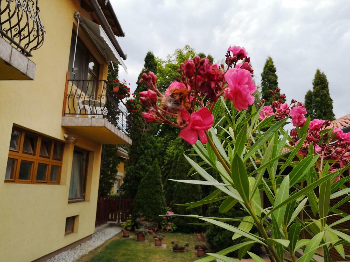 Julia Panzio Bed & Breakfast Hajdúszoboszló Eksteriør bilde